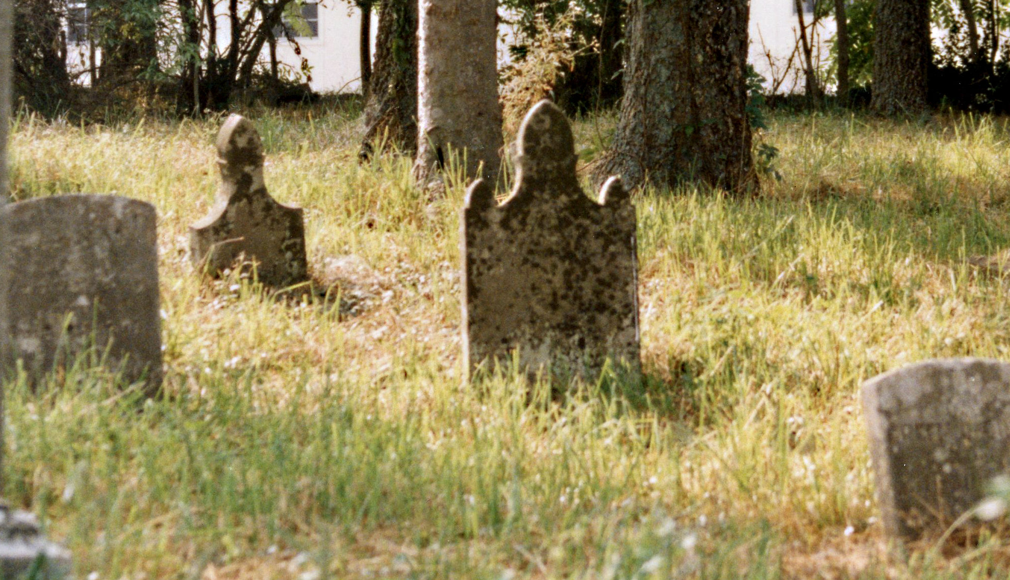 Section of DeMoss Cemetery