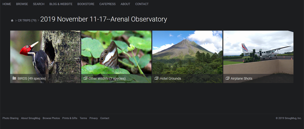 Arenal-2019-Screenshot-WEB