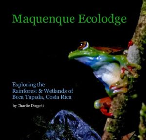 Maquenque Book