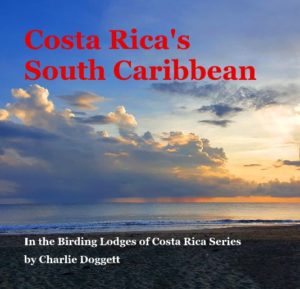 South Caribe