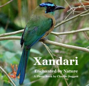 Xandari 2018-Enchanted by Nature