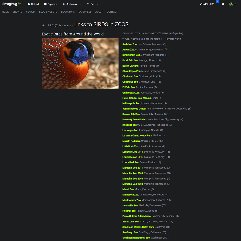 screenshot-charliedoggett-smugmug-com-BIRDS-Links-to-BIRDS-in-ZOOS-1589235522862-WEB