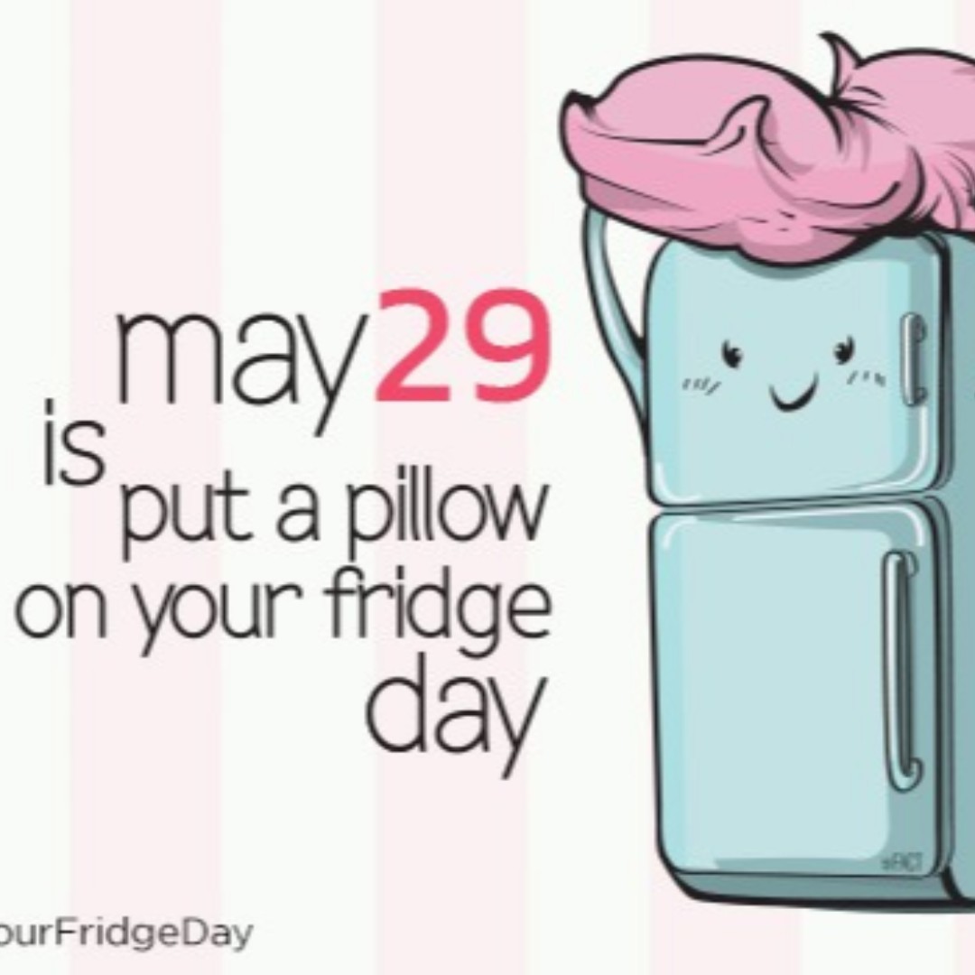 Today is "Put a Pillow on Your Fridge Day" Retired in Costa Rica