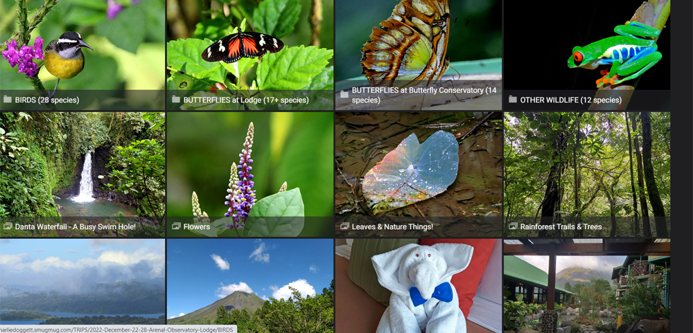 https://charliedoggett.smugmug.com/TRIPS/2022-December-22-28-Arenal-Observatory-Lodge